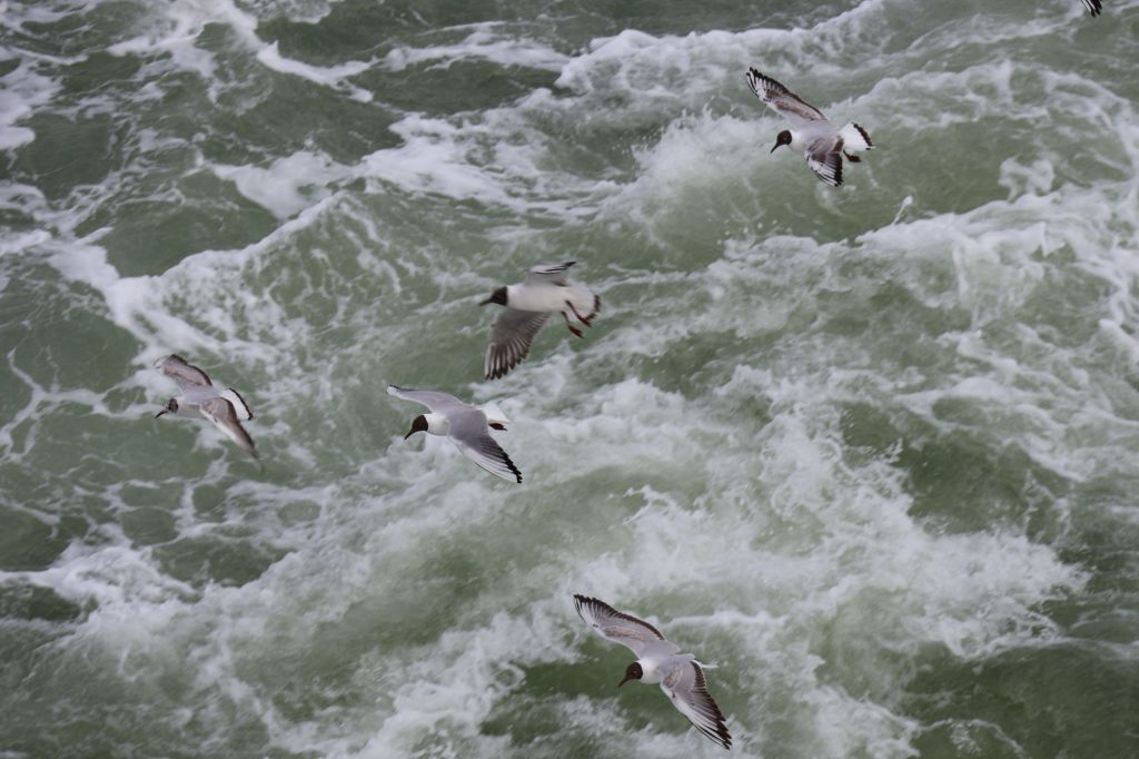 20250521154610_img_9201_15124270894575848137